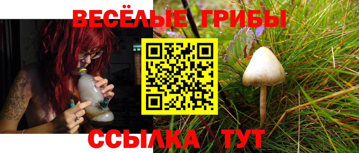 Псилоцибиновые грибы мухоморы  Вход с VPN  Назрань 